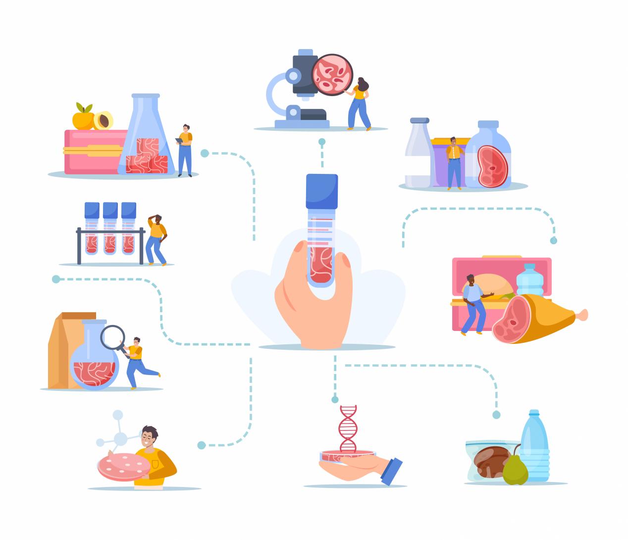 Visualizzare per controllare: come i Diagrammi di Flusso migliorano la qualità alimentare
