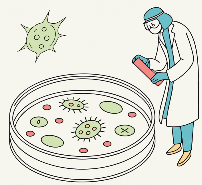 Salmonella: cinque cose da sapere