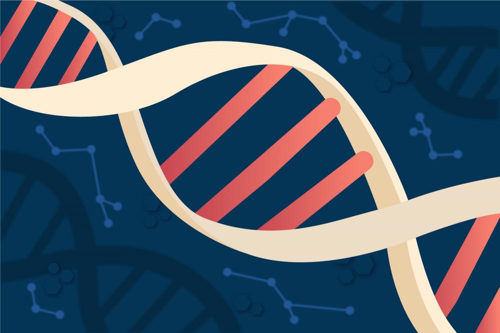 Sequenziamento 16S rRNA e Whole Genome Sequencing: nuove tecnologie per la sicurezza alimentare